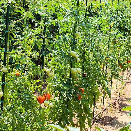 Azalea Sani With Outdoor Hot Tub, Sani Luxury Collection